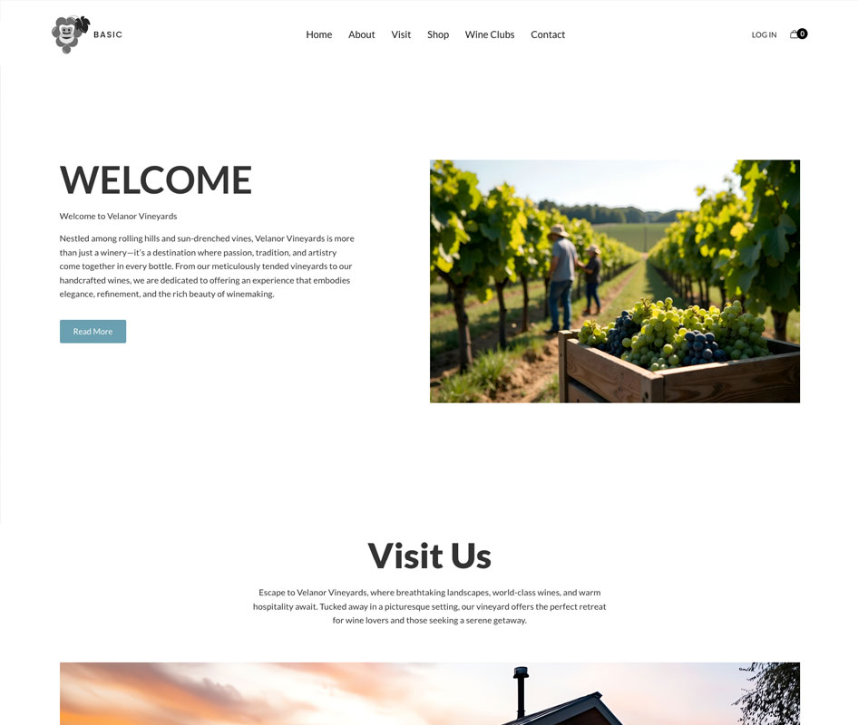 Vineyard with workers and grape harvest at sunset, showcasing wine production and vineyard management.