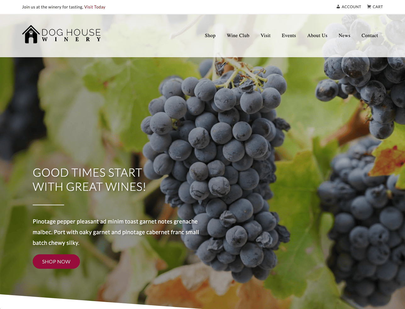 Commerce7 logo and wine management platform for wineries and wine businesses.