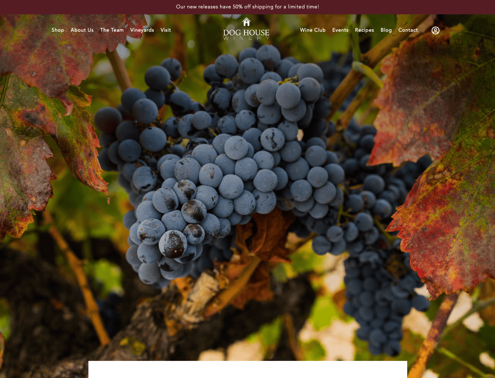 Close-up of a ripe grape cluster on a vine with autumn leaves in the background.