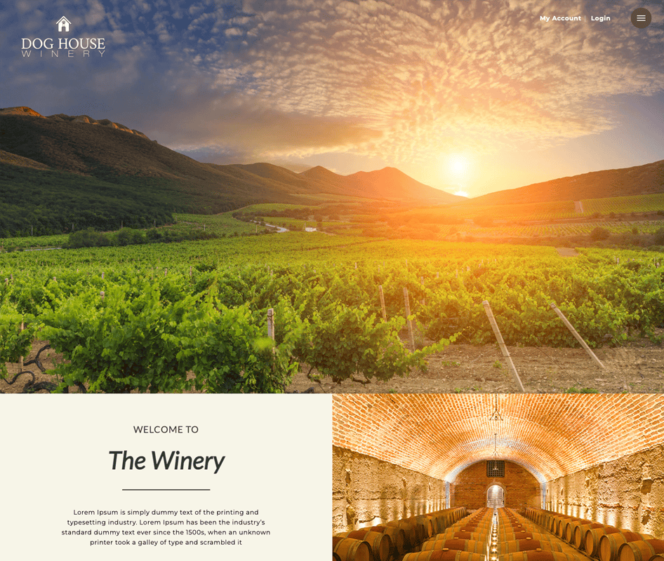 Scenic vineyard landscape at sunset with rolling hills and lush green grapevines.